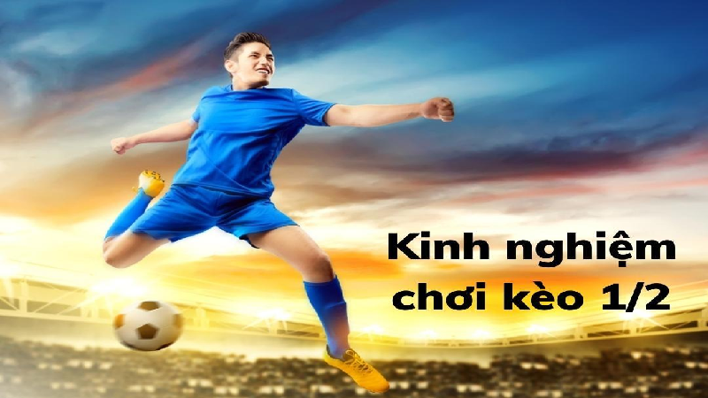 Kinh nghiệm được chia sẻ bởi người chơi kinh nghiệm