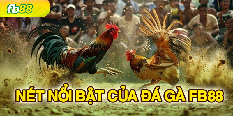 Đá gà FB88 minh bạch, uy tín và rõ ràng